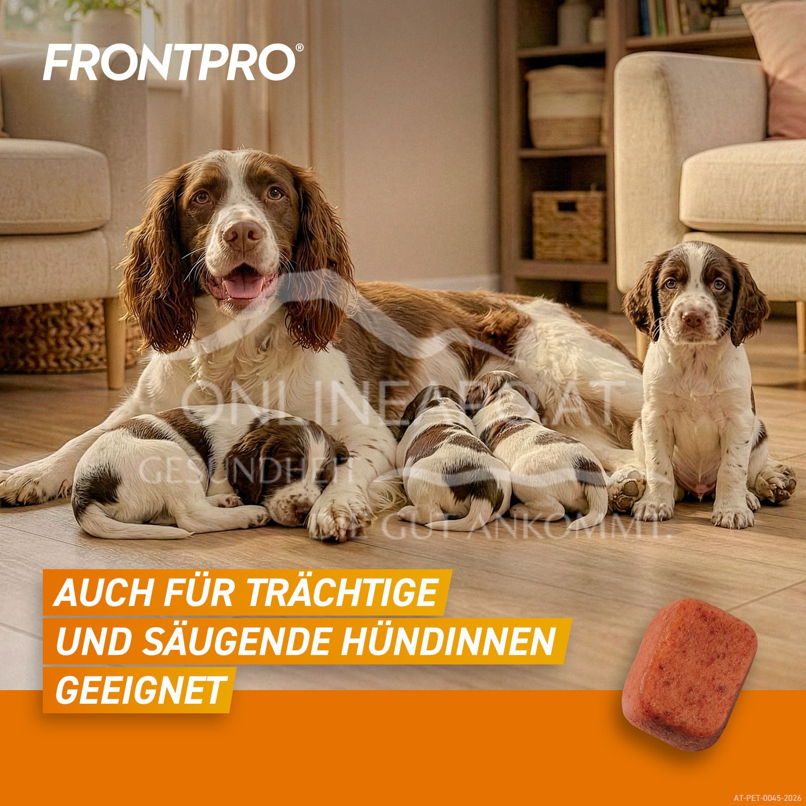 FRONTPRO® 68 mg chewable tablets for dogs > 10 - 25 kg