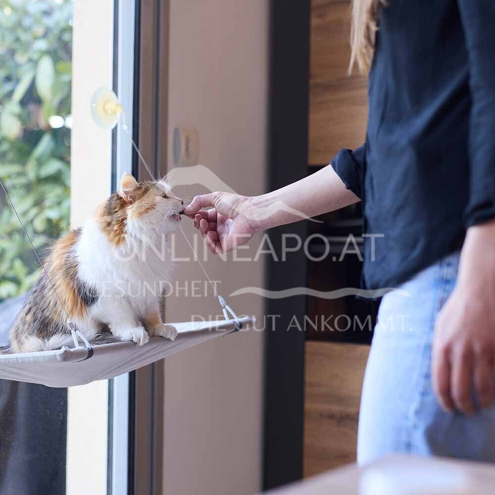 Virbac Floragest Soft Chews für Katzen
