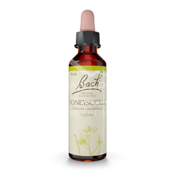 Bach®-Blüte Nr. 16 Honeysuckle (Geißblatt) Tropfen