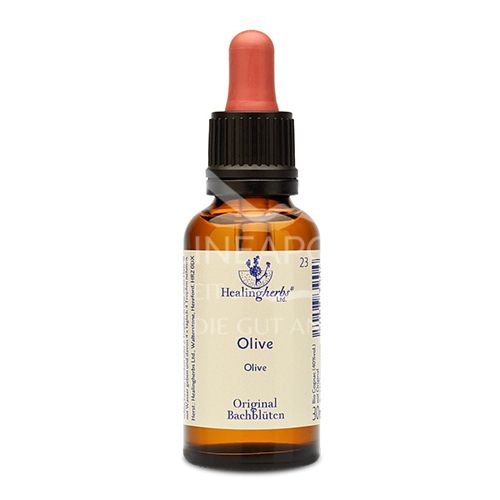 Healing Herbs Bachblüten Olive Tropfen