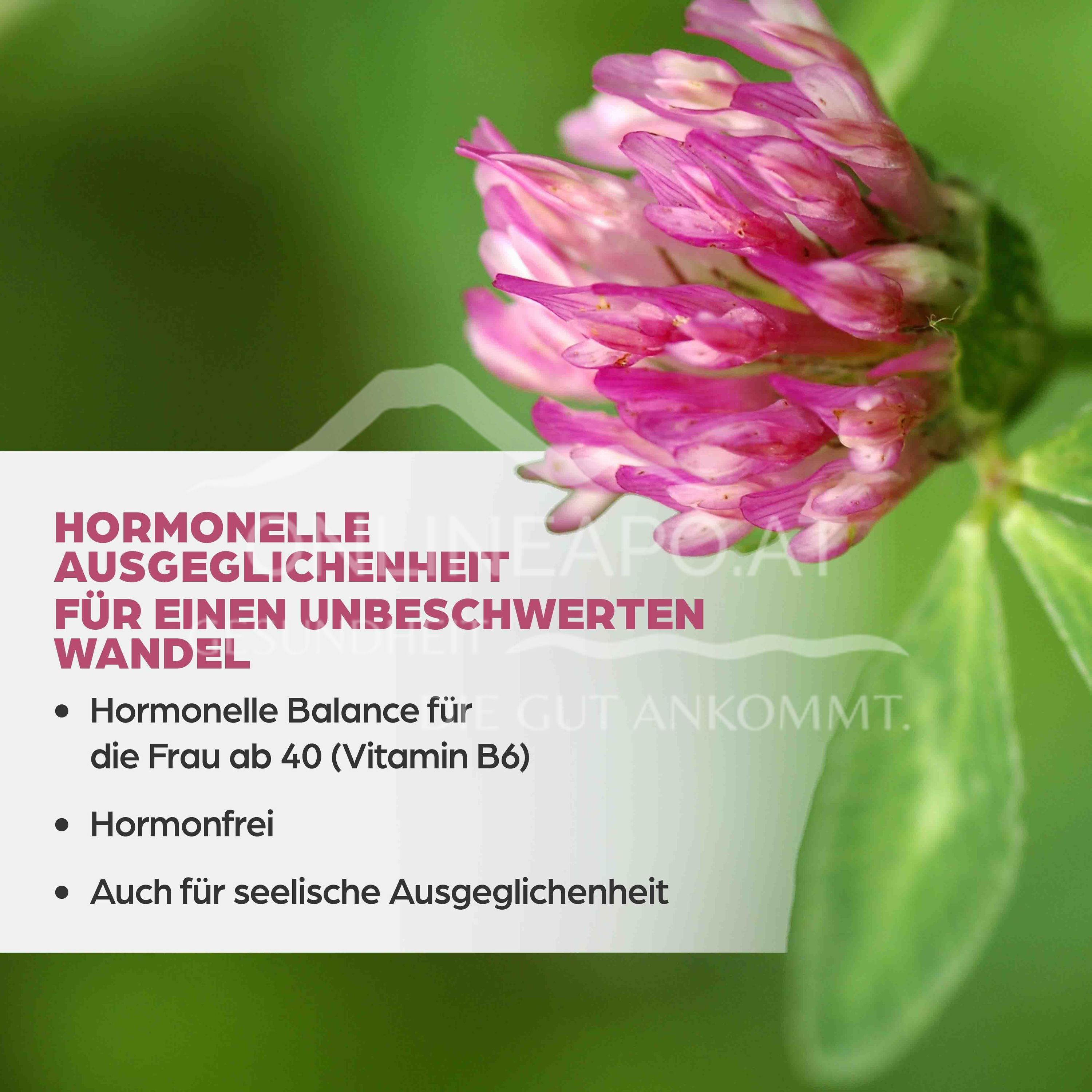 Dr. Böhm® Isoflavon mit Griffonia 45 mg Dragees