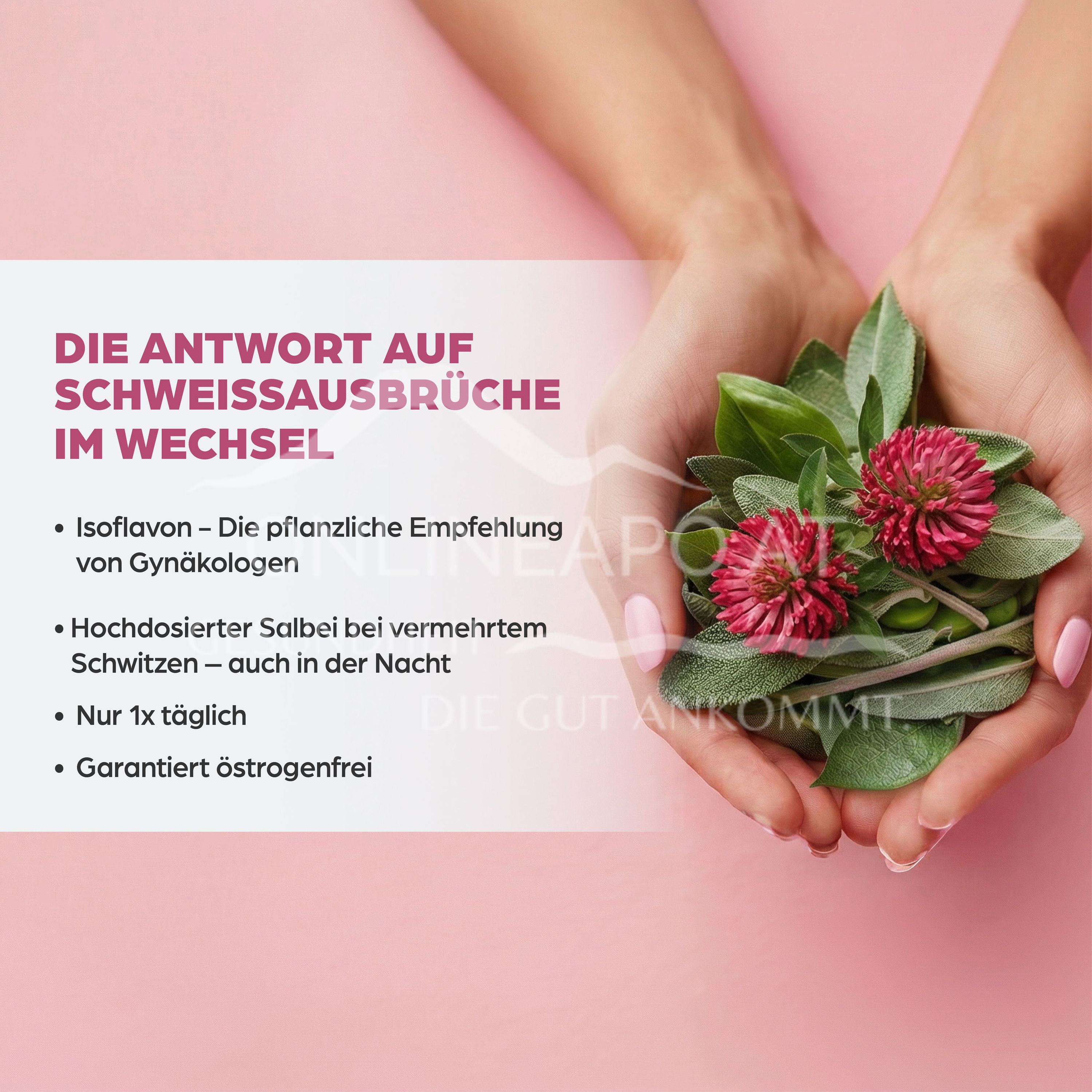 Dr. Böhm® Isoflavon + Salbei Dragees
