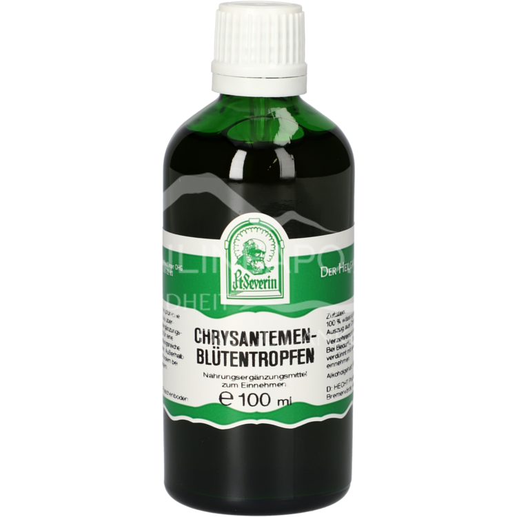 Father Severin chrysanthemum blossom drops