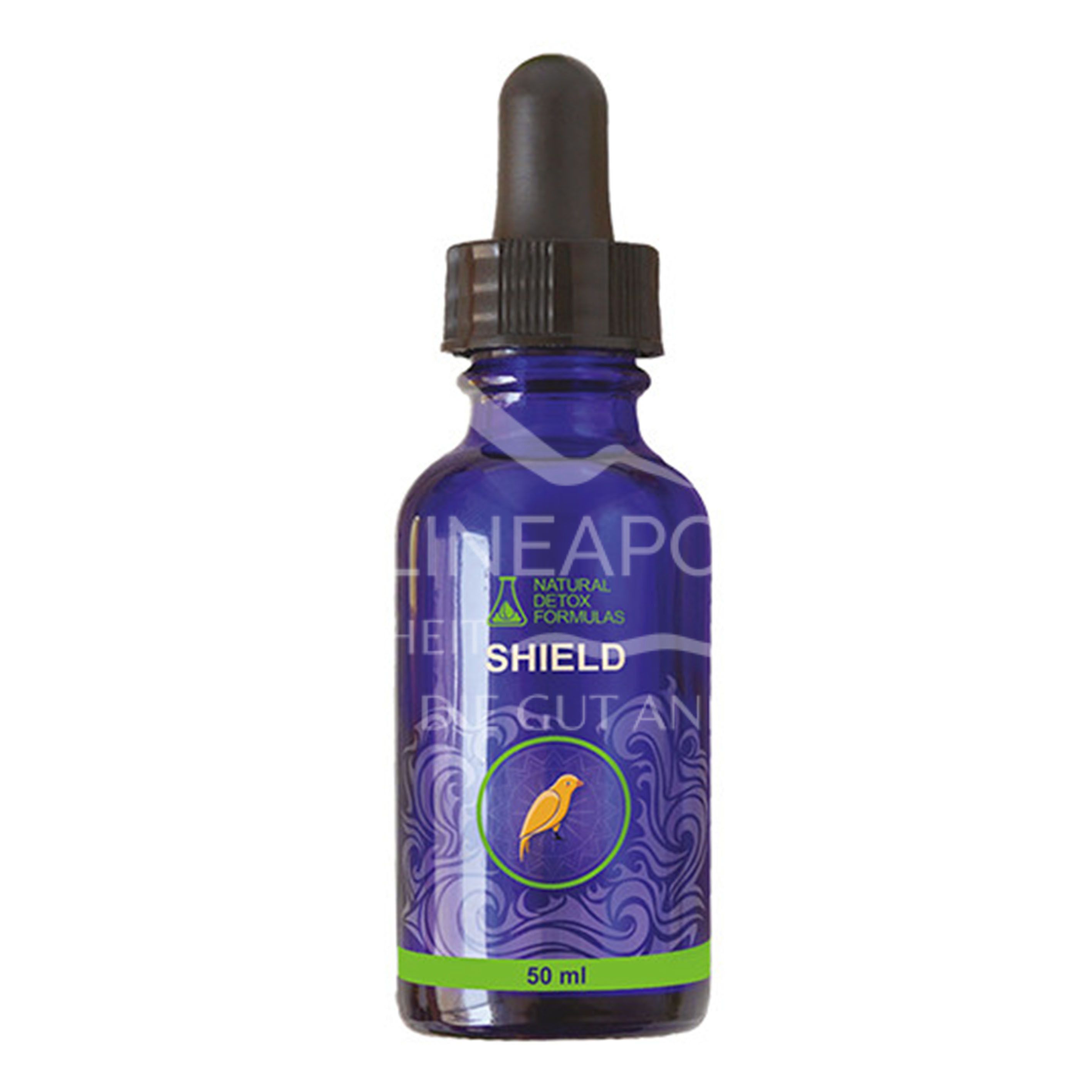 Shield Detox Tropfen