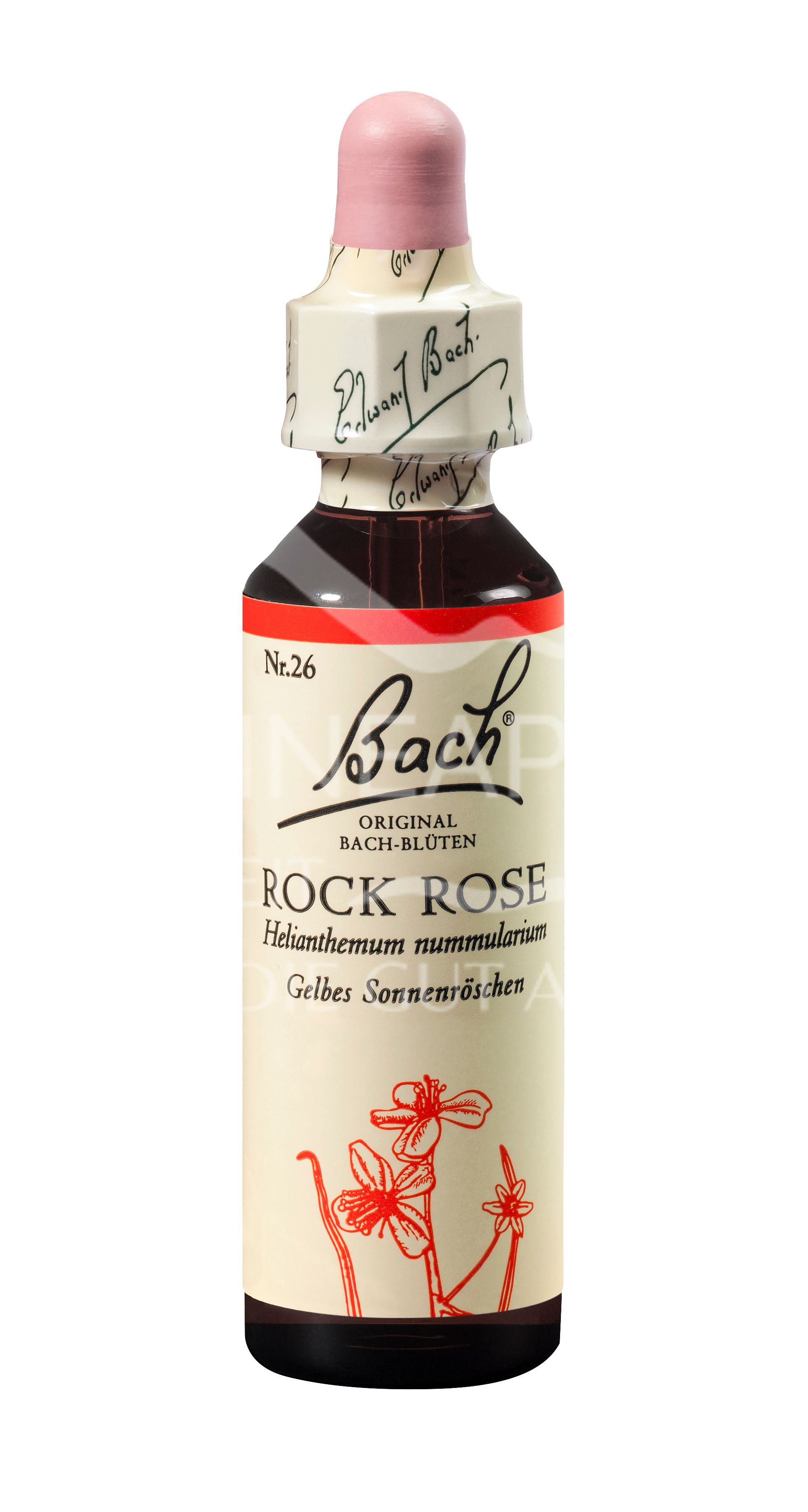 Bach®-Blüte Nr. 26 Rock Rose (Gelbes Sonnenröschen) Tropfen
