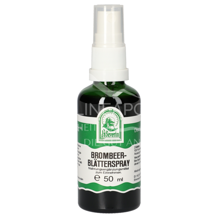 Father Severin Blackberry Leaf Spray