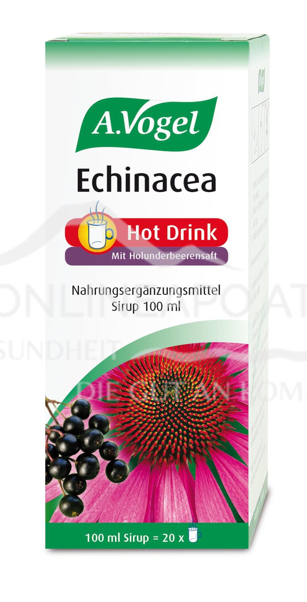 Echinacea Hot Drink