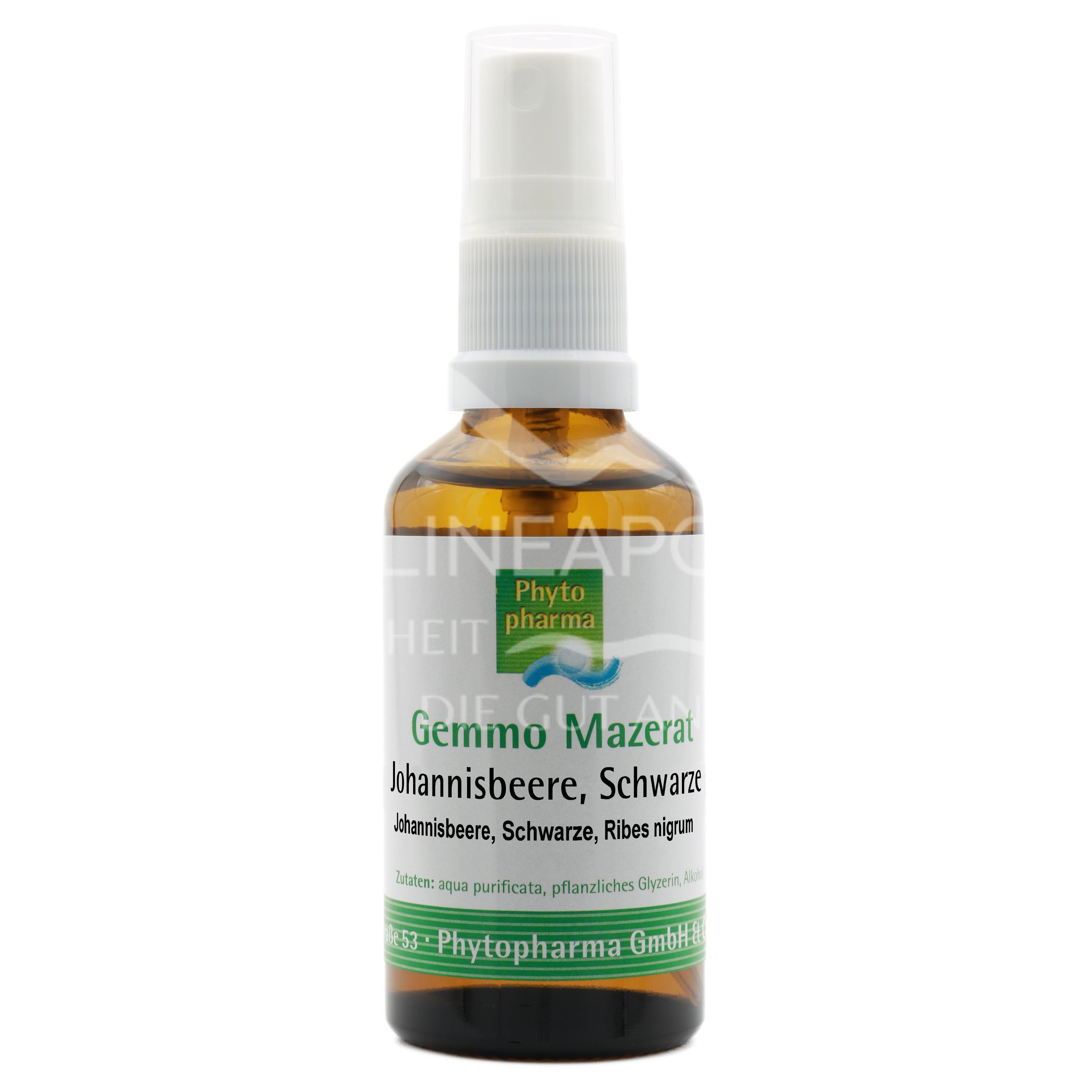 Phytopharma Gemmo Mazerat Schwarze Johannisbeere Spray