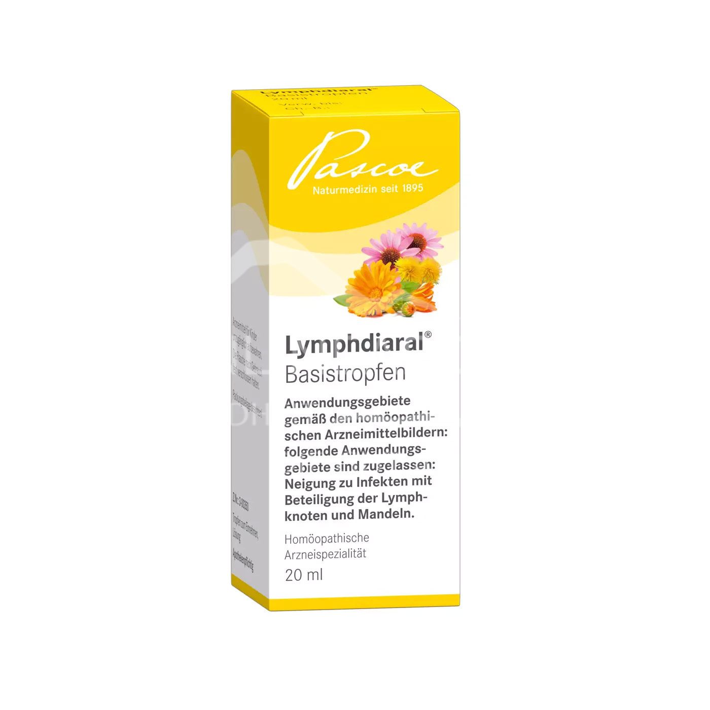 Lymphdiaral® Basistropfen