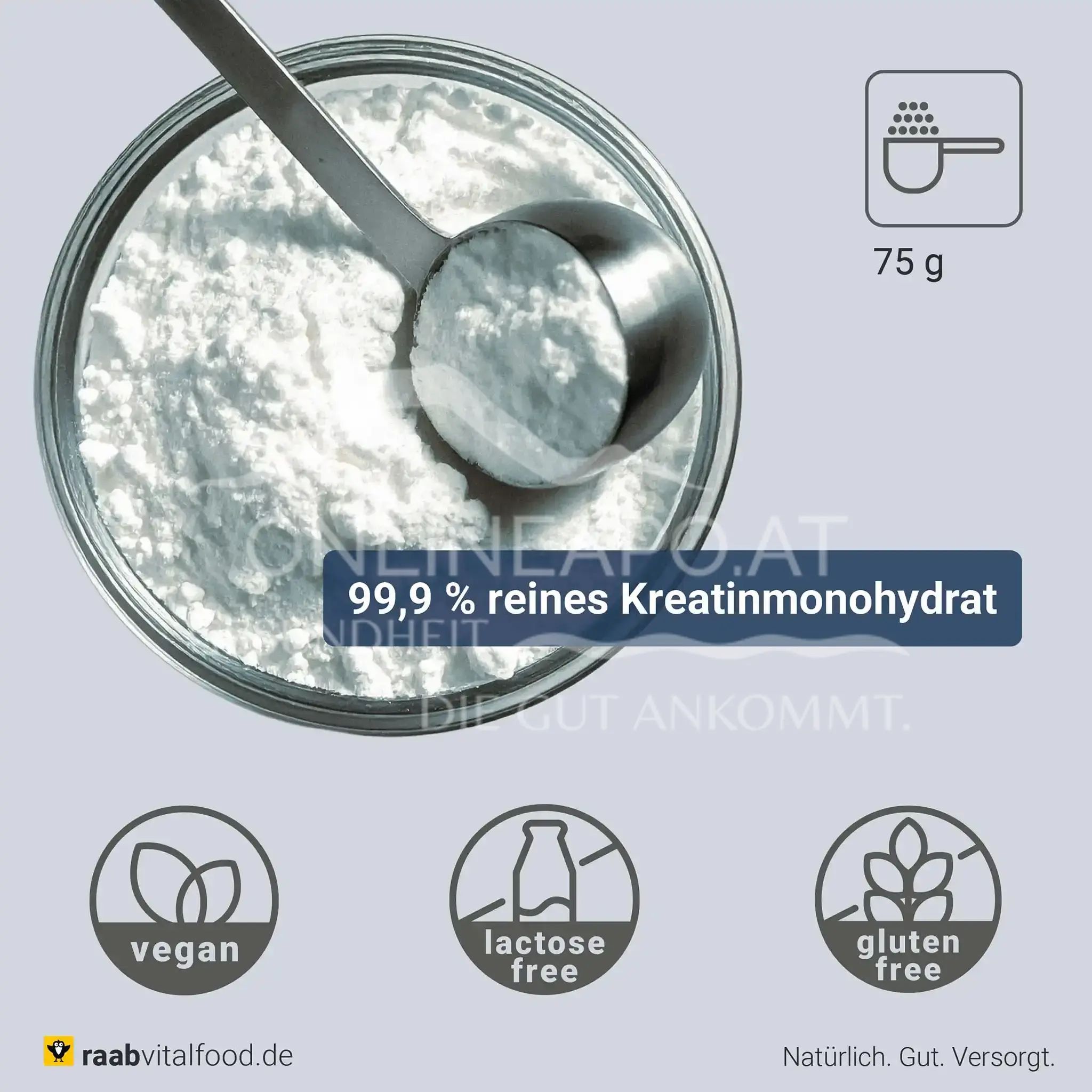Raab® Vitalfood Kreatin Pulver