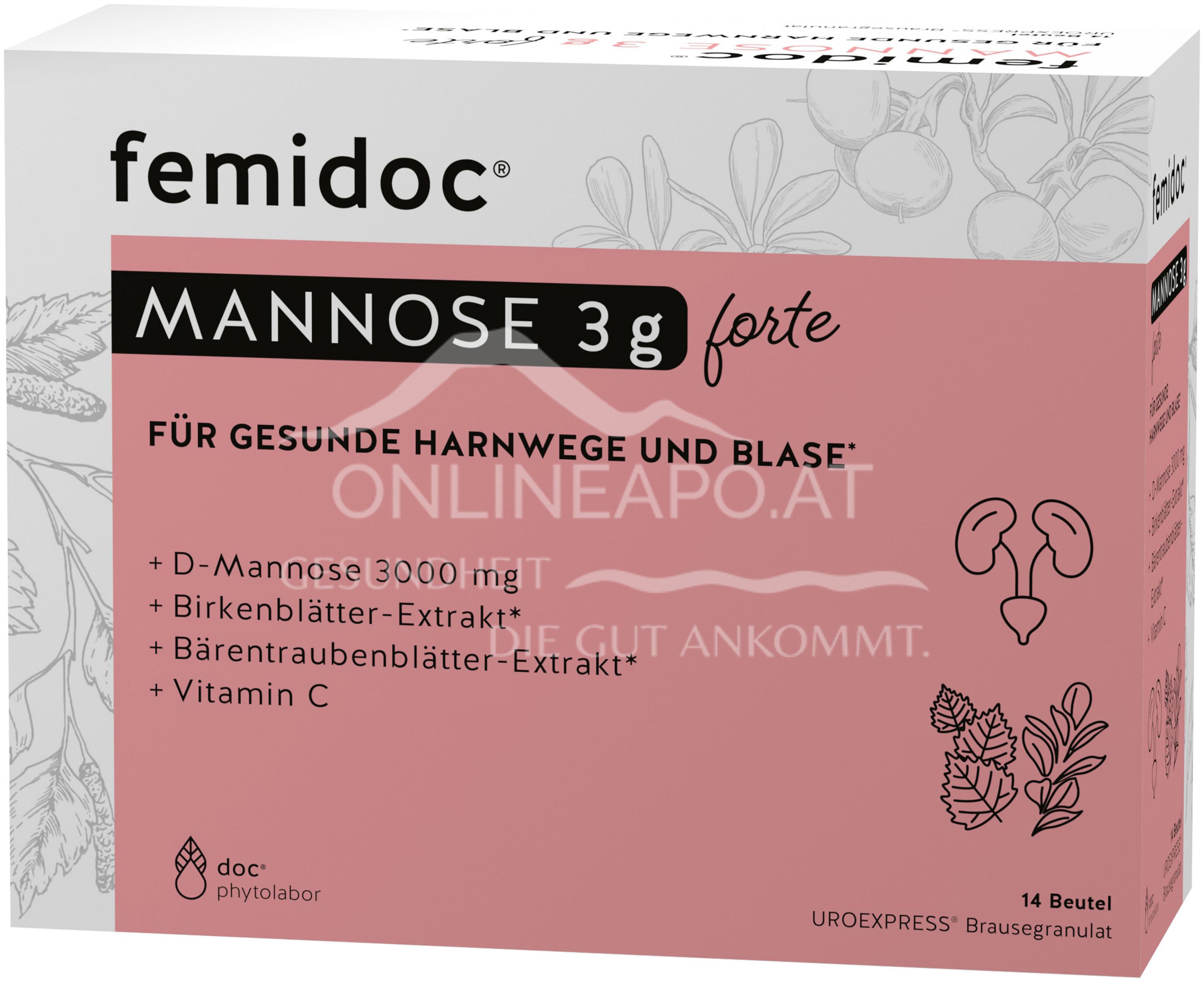 femidoc® UROEXPRESS® forte effervescent granules sachets 3g