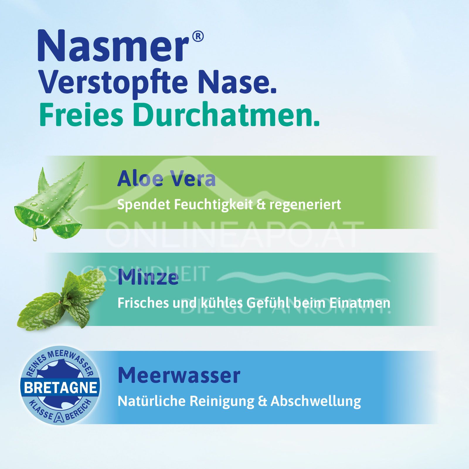 Nasmer® Verstopfte Nase Nasenspray