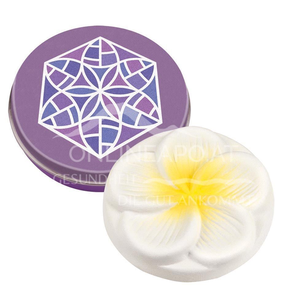 Taoasis Mini Fragrance Stone Frangipani with fragrance stone box
