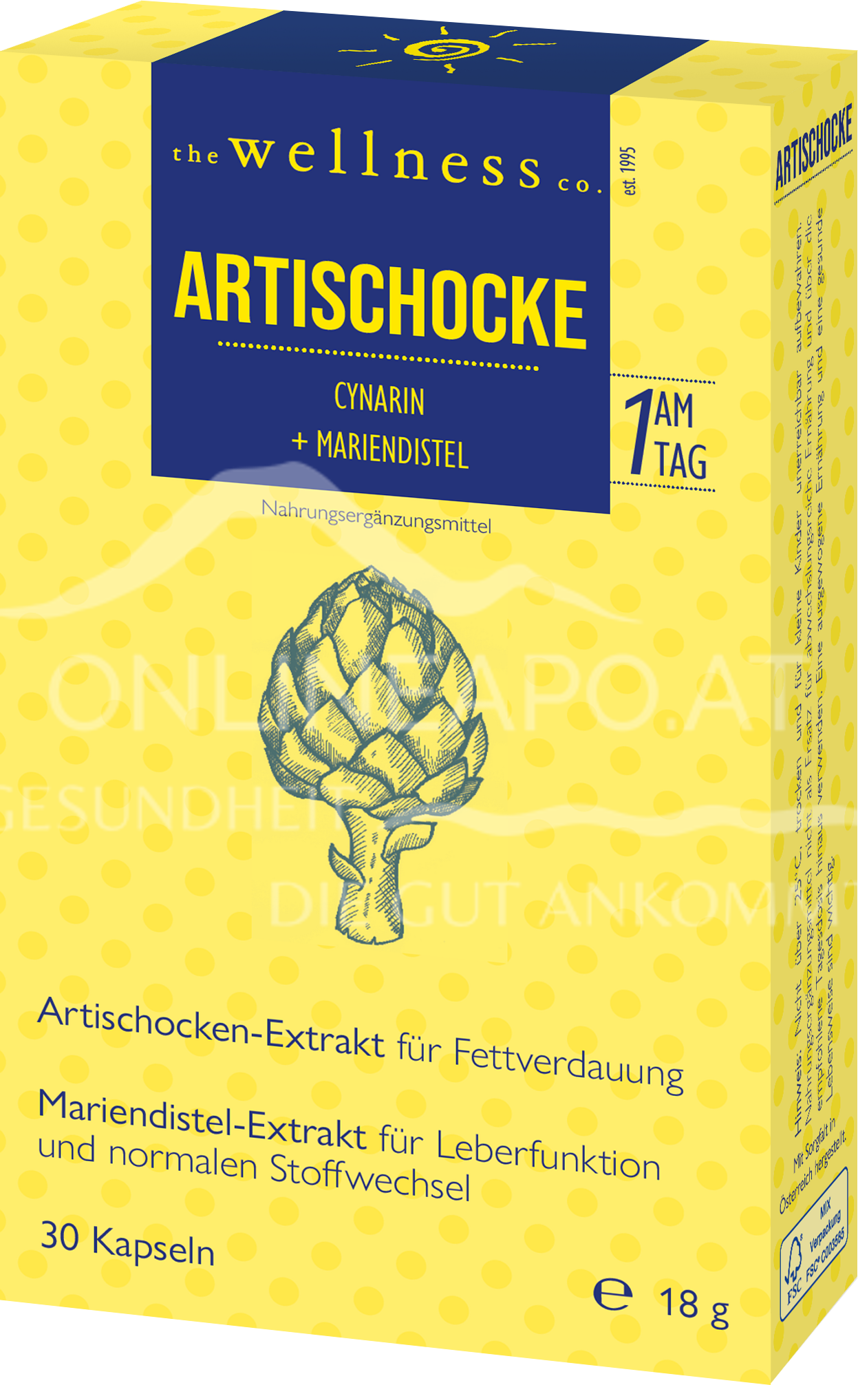 Wellness ARTISCHOCKE + MARIENDISTEL capsules