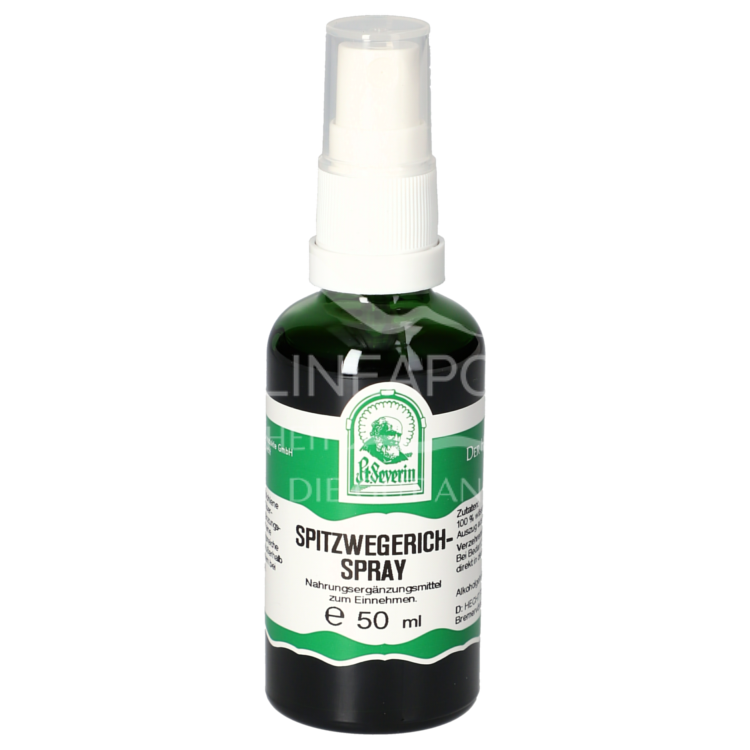 Father Severin Ribwort Plantain Spray