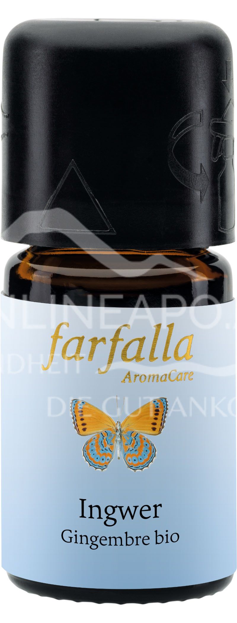 Farfalla Ginger organic Grand Cru, essential oil