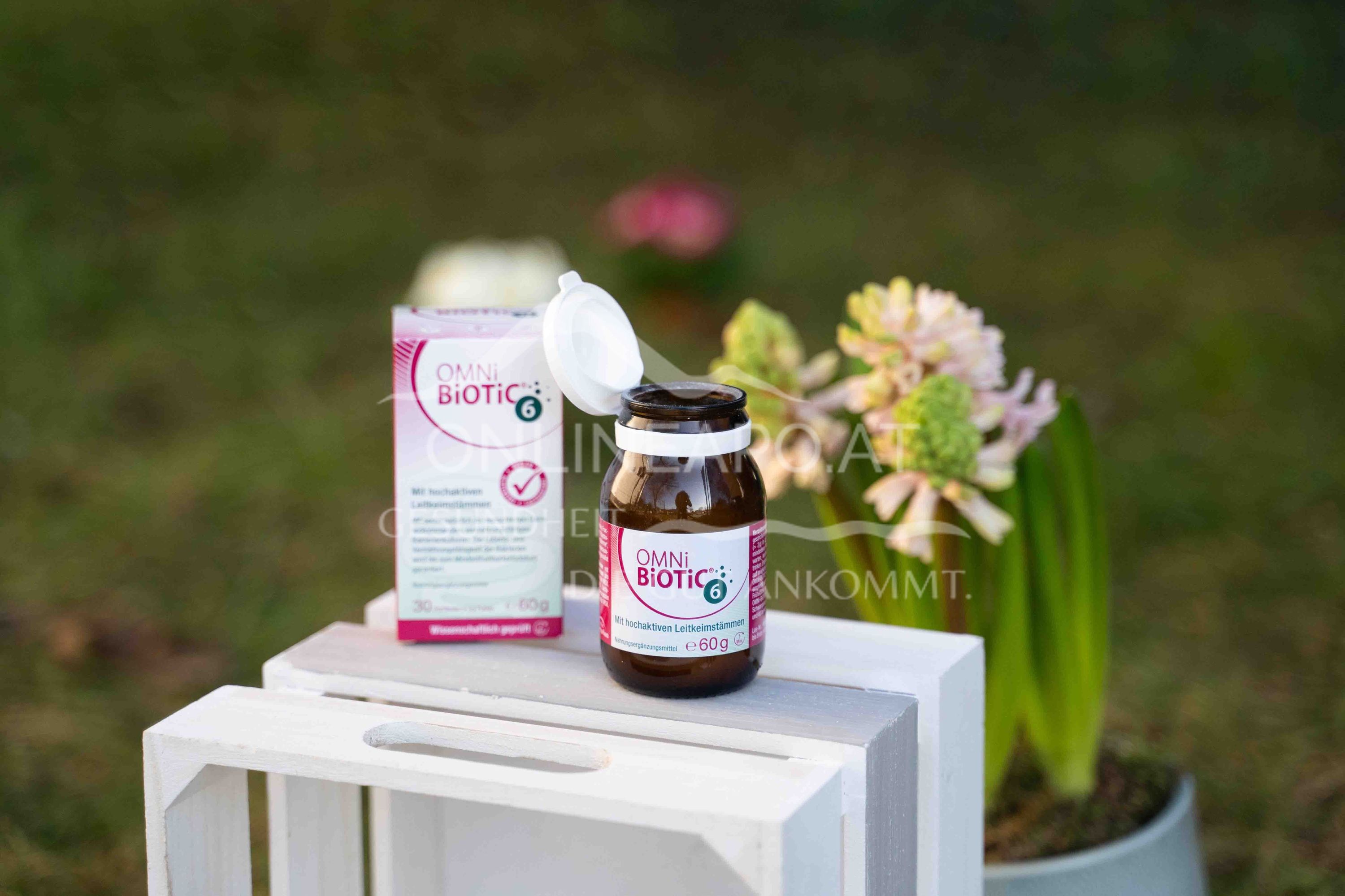 OMNi-BiOTiC® 6 powder