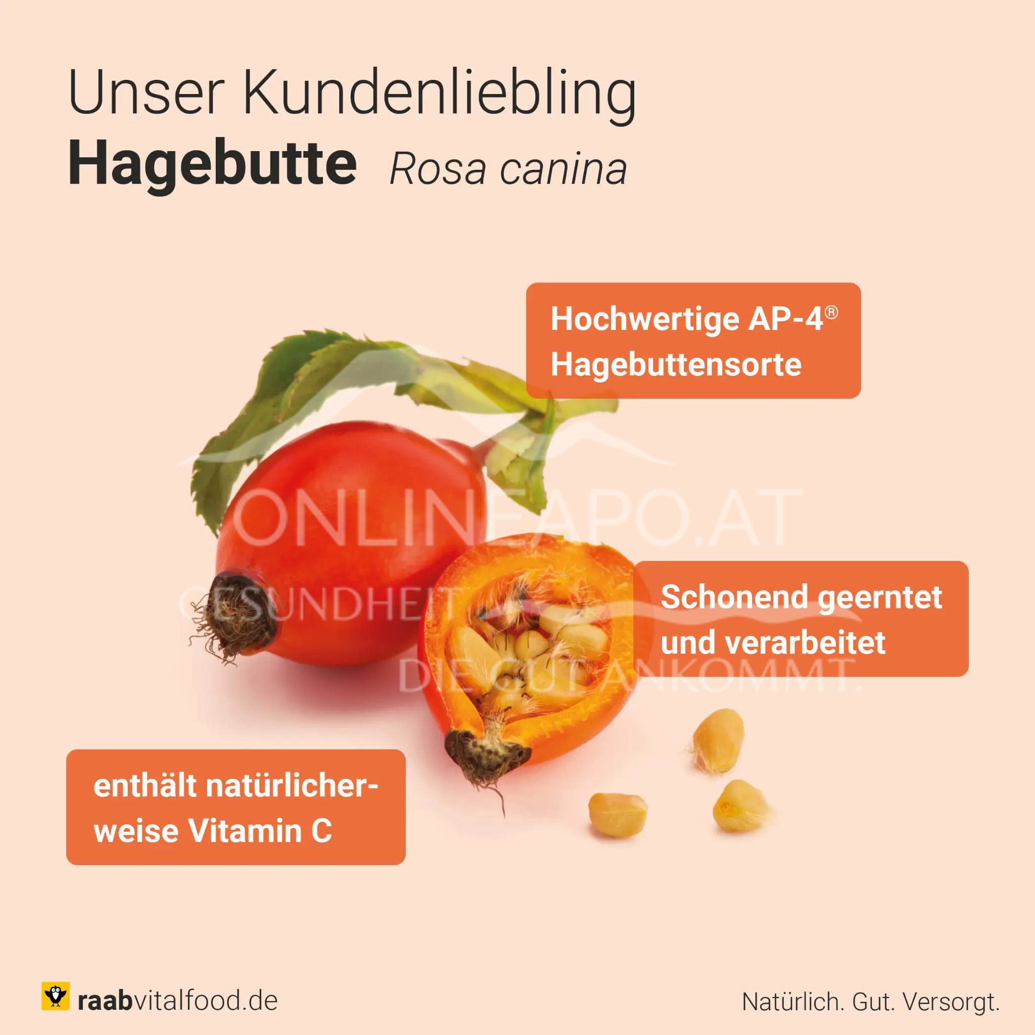 Raab® Vitalfood Bio Hagebutten Kapseln