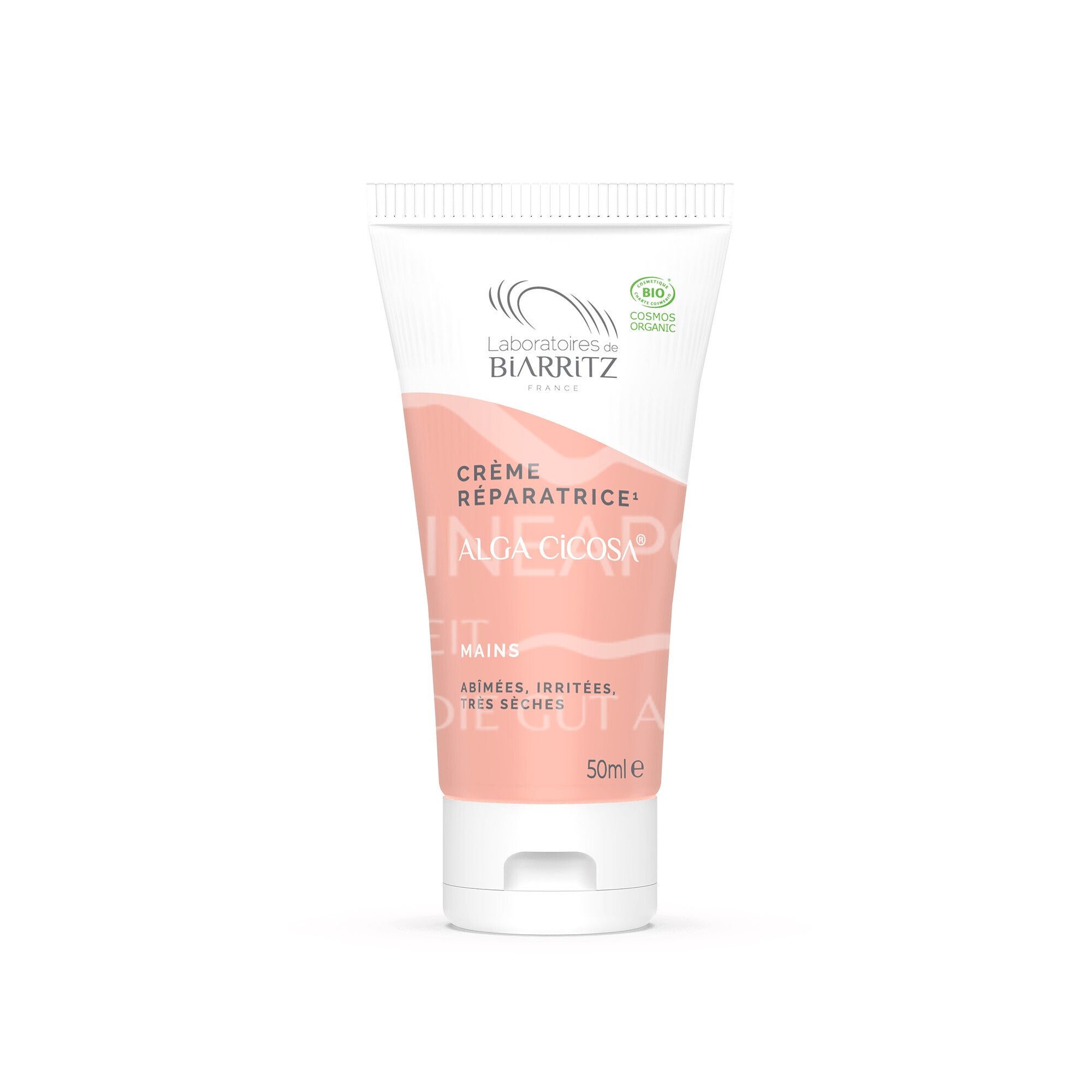 Alga Cicosa reparierende Pflege Bio regenerierende Handpflege