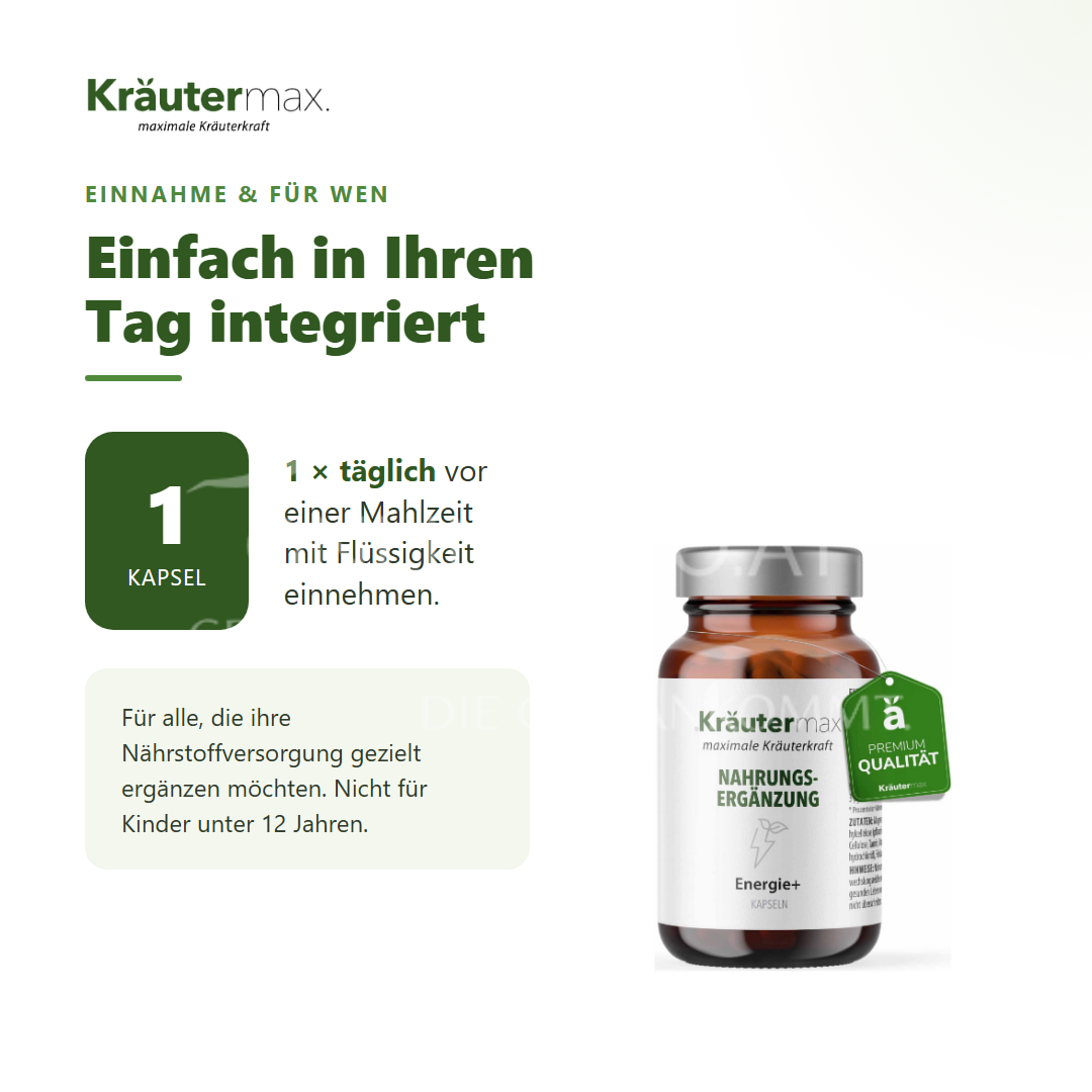 Kräutermax Energie Kapseln
