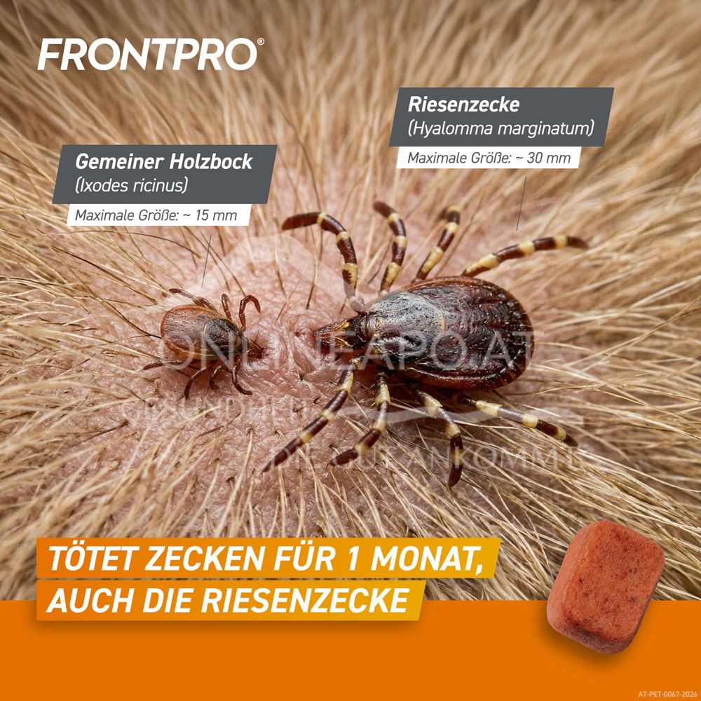 FRONTPRO® 68 mg chewable tablets for dogs > 10 - 25 kg