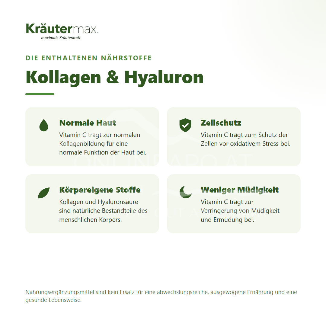 Kräutermax Kollagen Hyaluron Kapseln