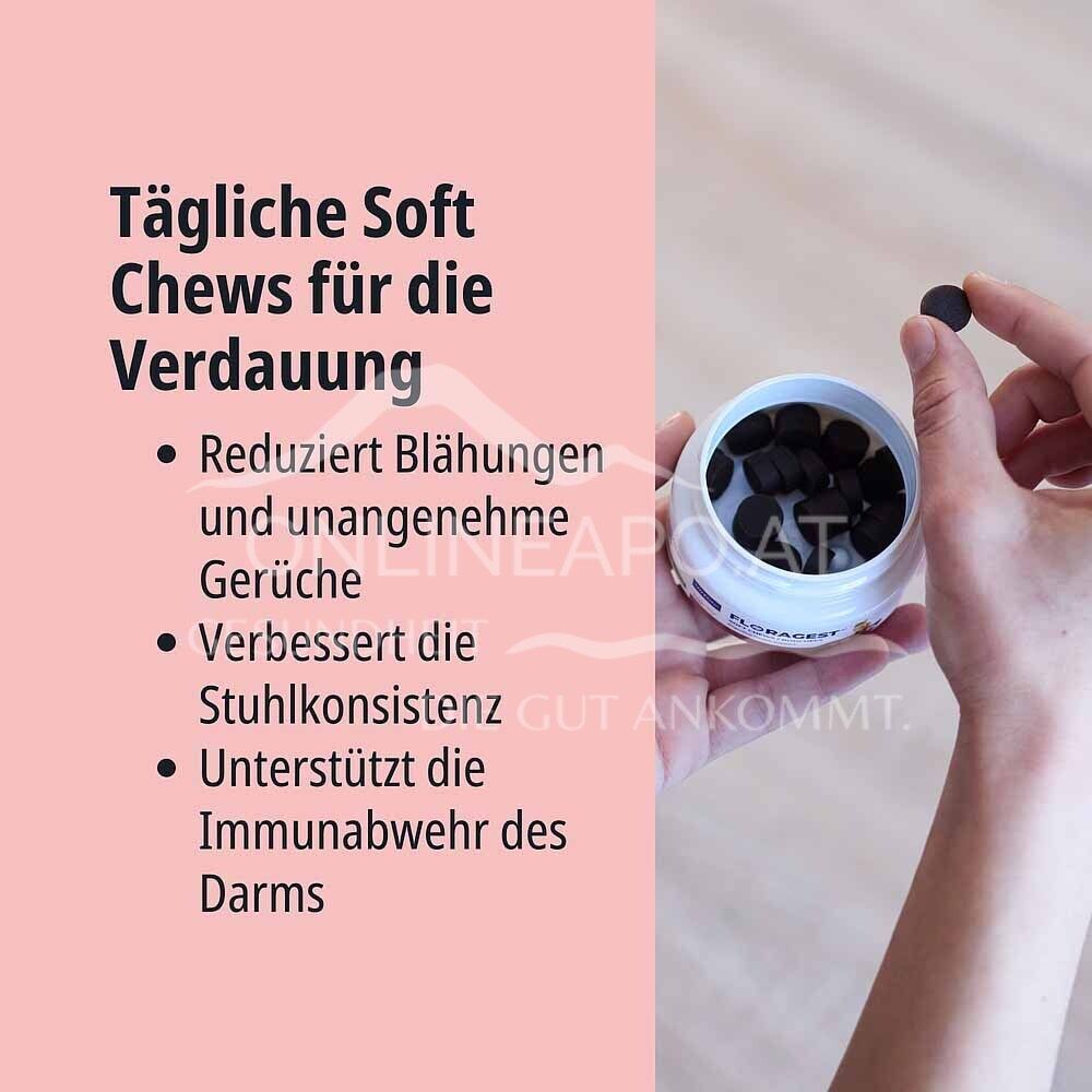 Virbac Floragest Soft Chews für Katzen