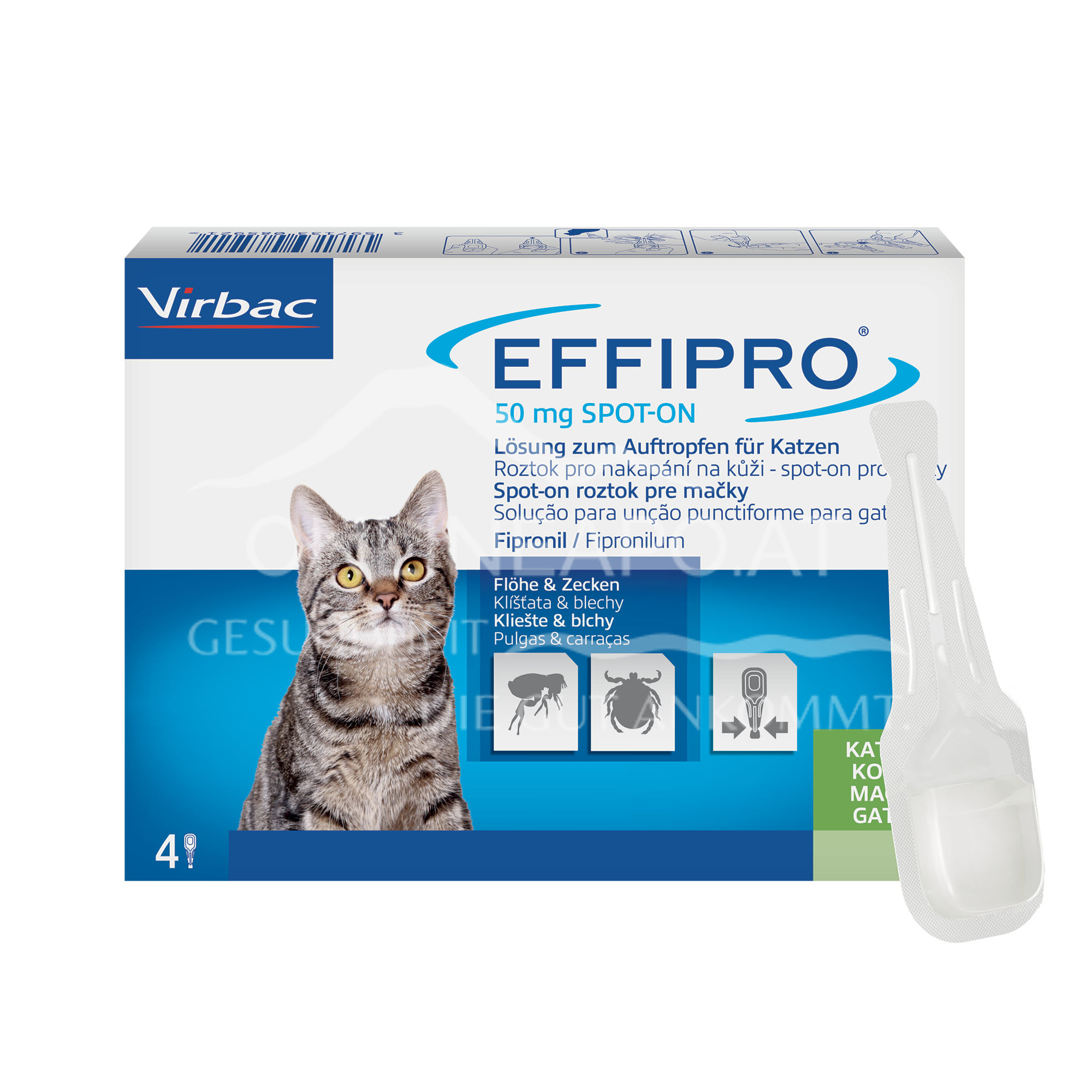 Effipro 50 mg Spot-on Lösung zum Auftropfen für Katzen