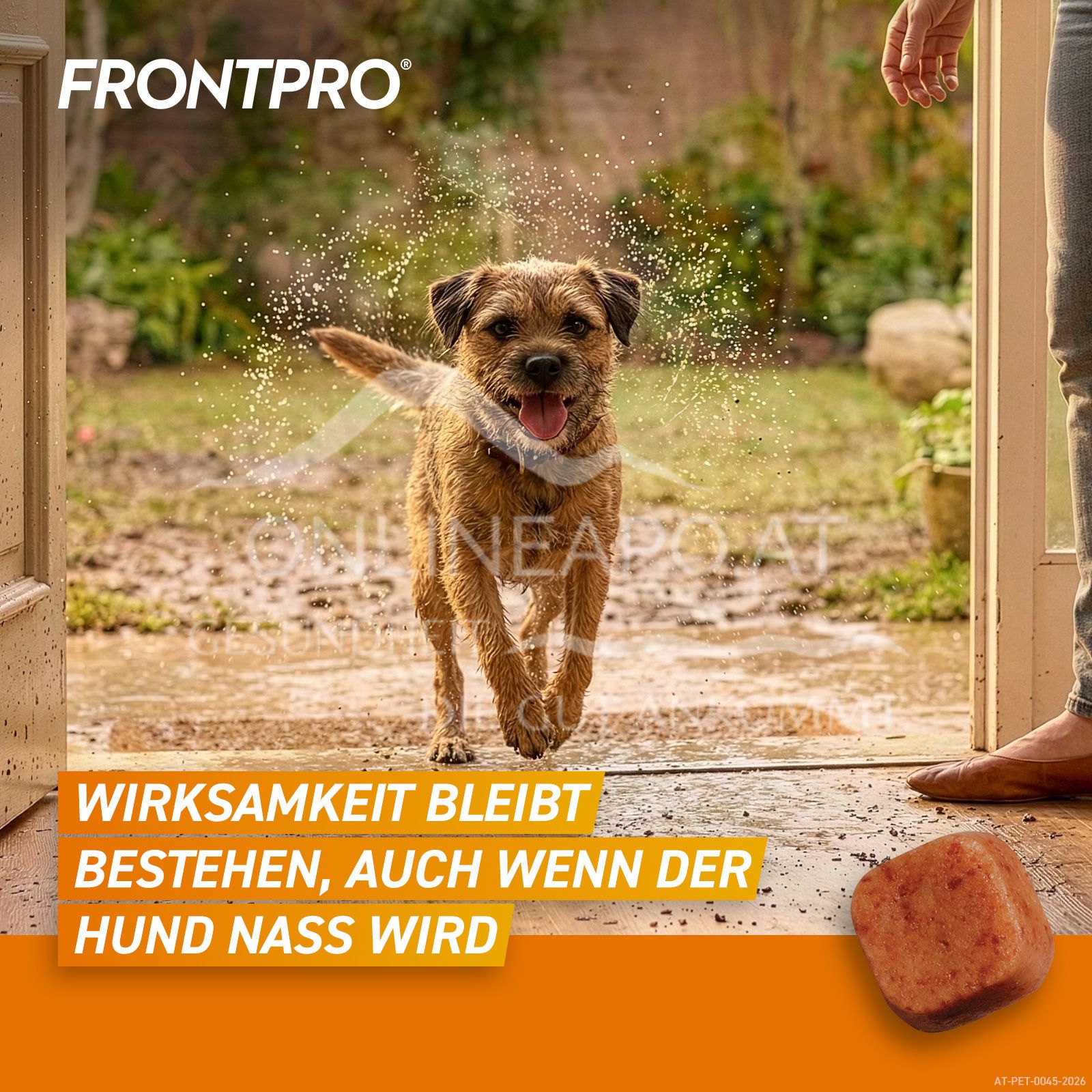 FRONTPRO® 28 mg chewable tablets for dogs > 4 - 10 kg