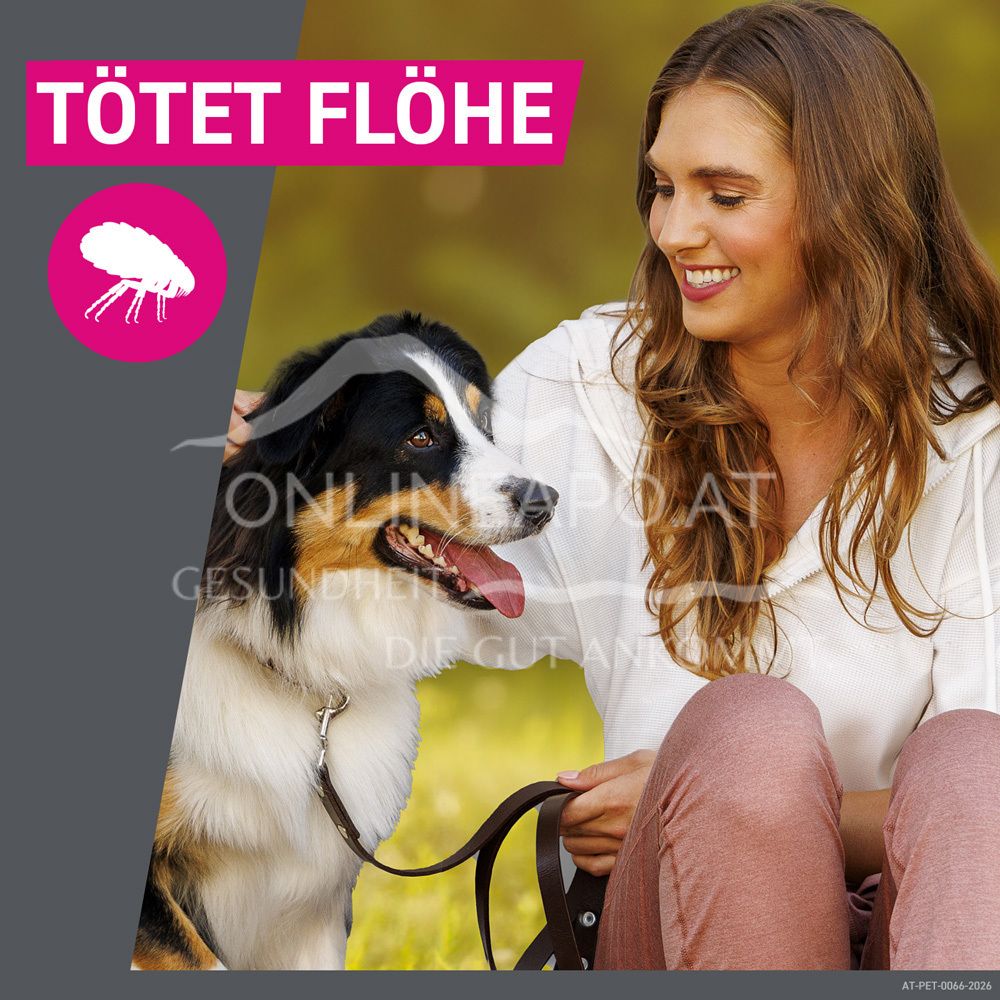 Frontline TRI-ACT® solution for dripping for dogs 40 - 60 kg