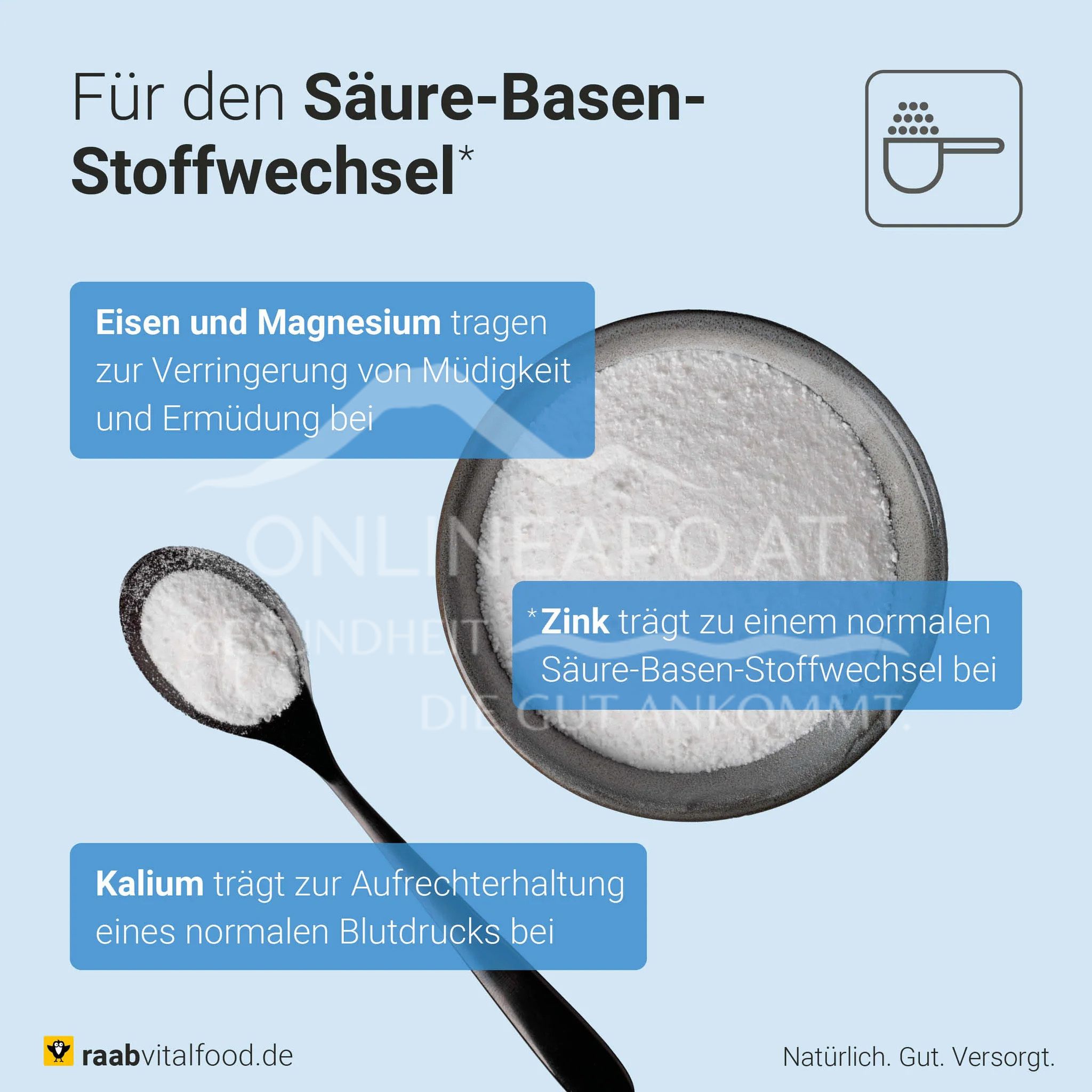 Raab® Vitalfood Basenpulver Balance Pur