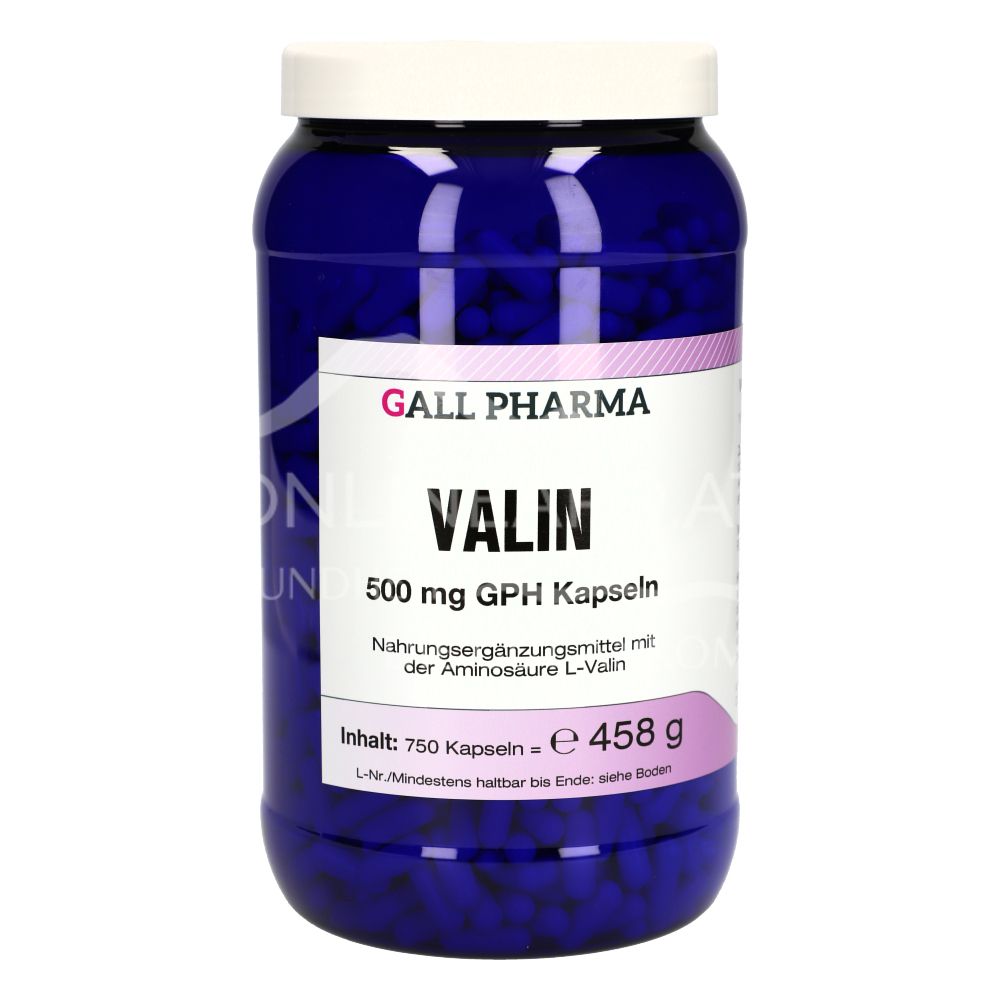 Gall Pharma Valine 500 mg capsules