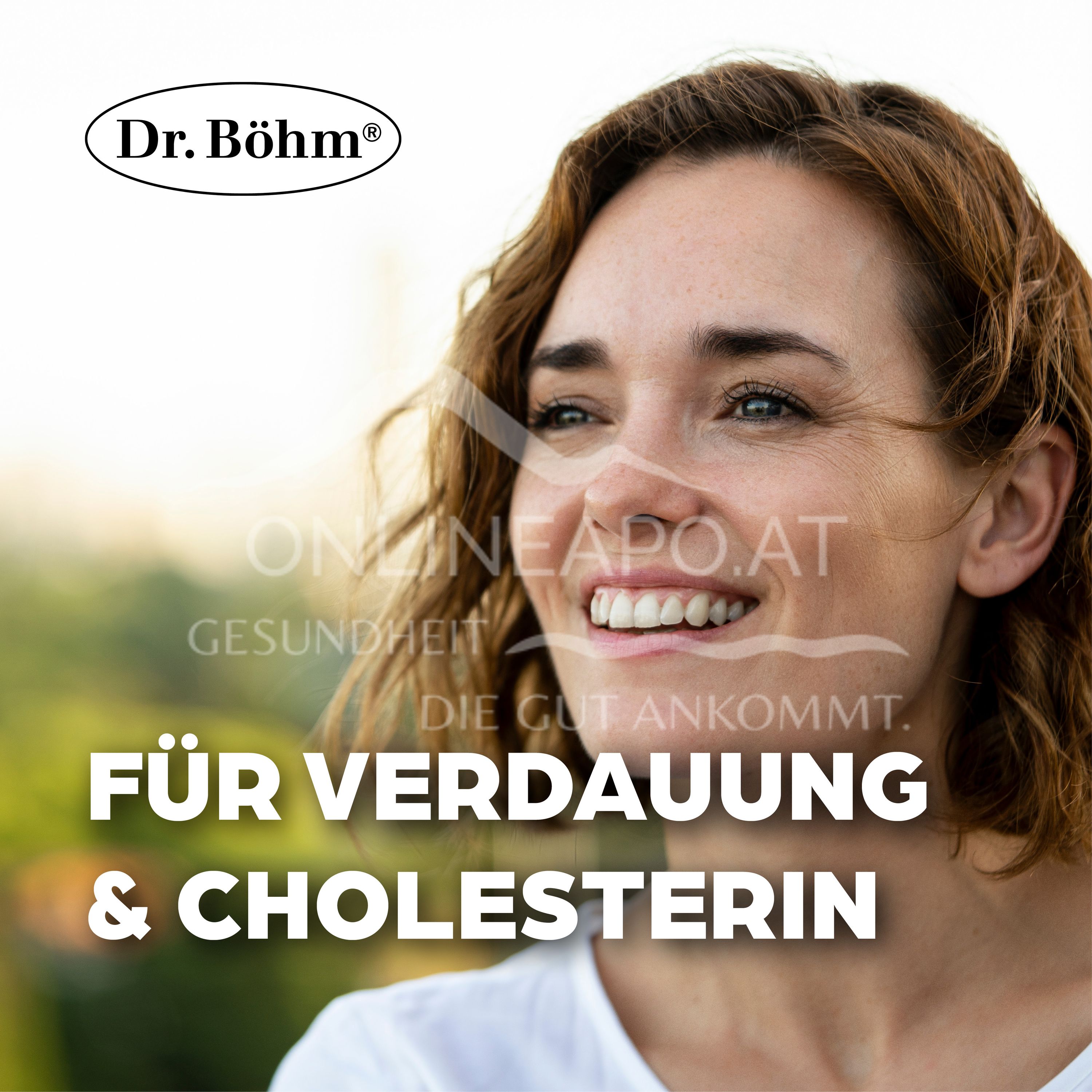 Dr Böhm® Artichoke 450 mg coated tablets