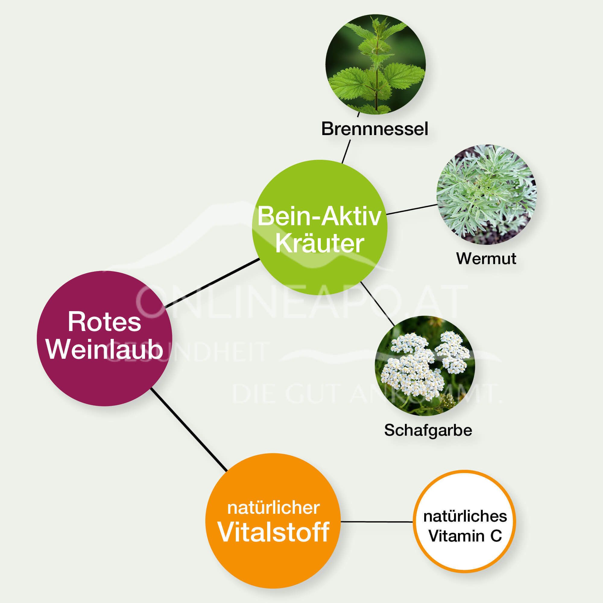 Bio Naturvital Florian Beinwohl Aktiv Bio-Kräuter-Früchte-Elixier