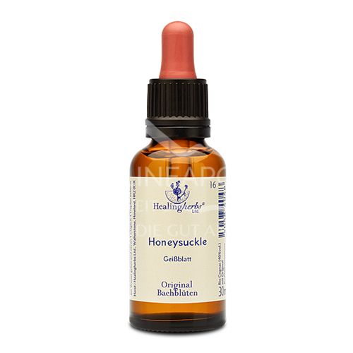 Healing Herbs Bachblüten Honeysuckle Tropfen