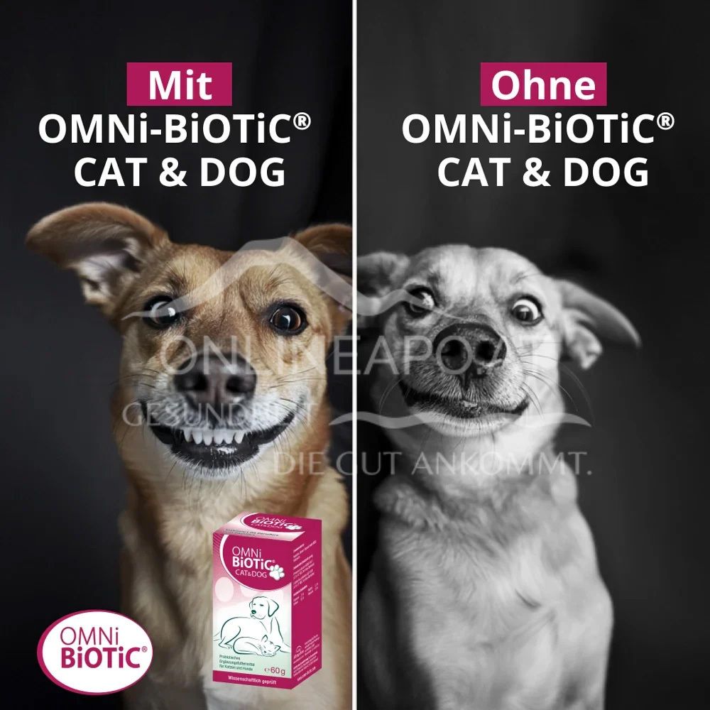 OMNi-BiOTiC® VET CAT & DOG Powder