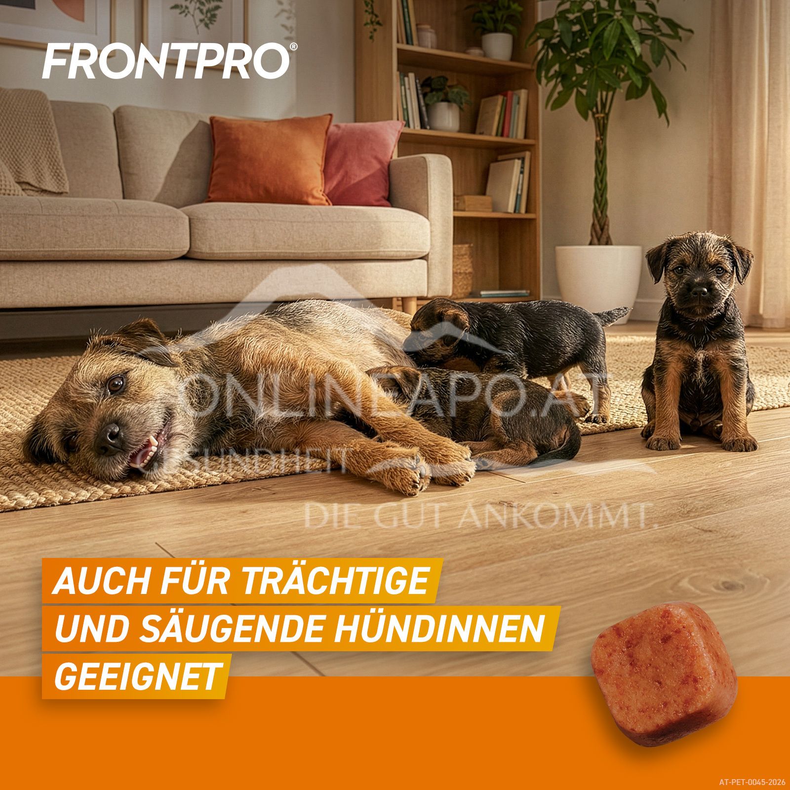 FRONTPRO® 28 mg chewable tablets for dogs > 4 - 10 kg