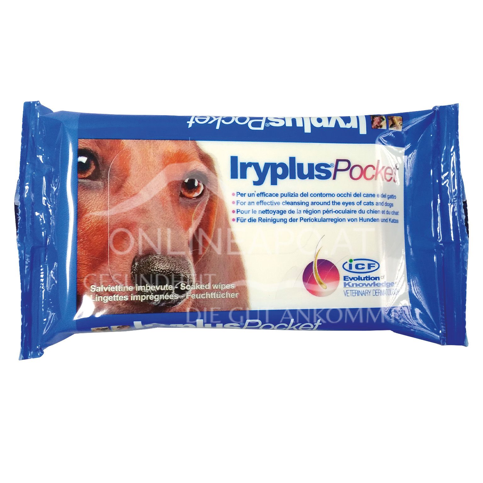ICF Iryplus Pocket Wipes für Hunde und Katzen