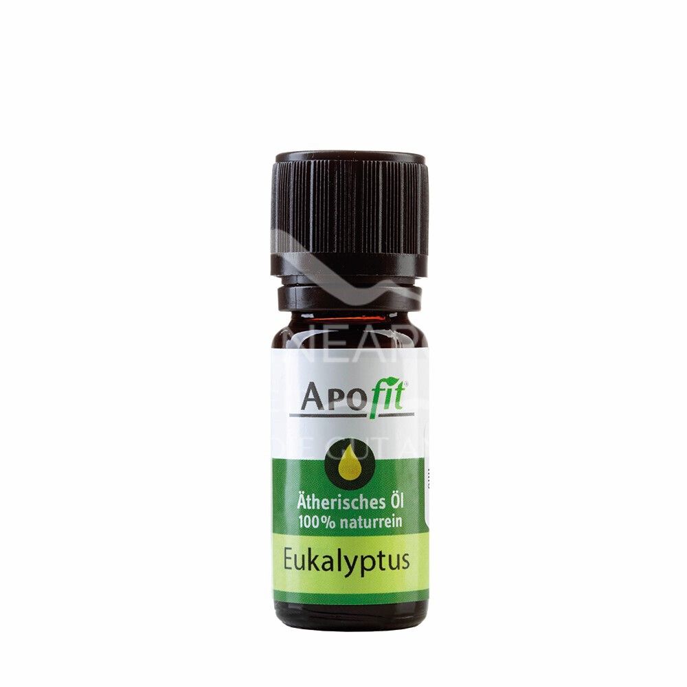 APOfit Eucalyptus Essential Oil
