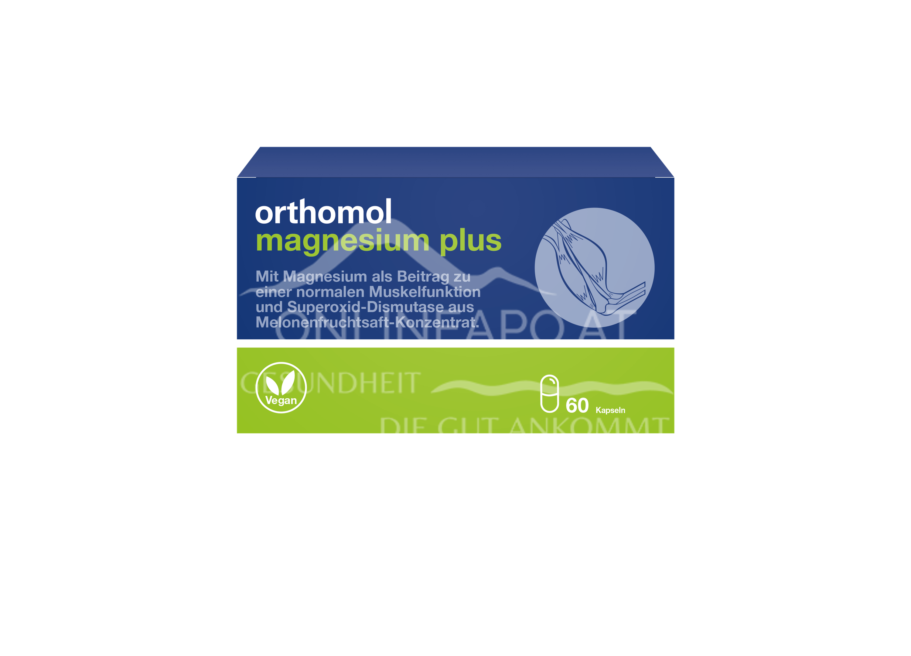 Orthomol Magnesium Plus Kapseln