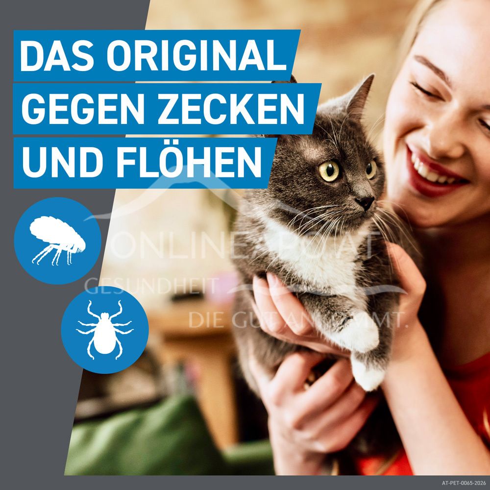 Frontline Spot-on für Katzen 50 mg Lösung zum Auftropfen auf die Haut