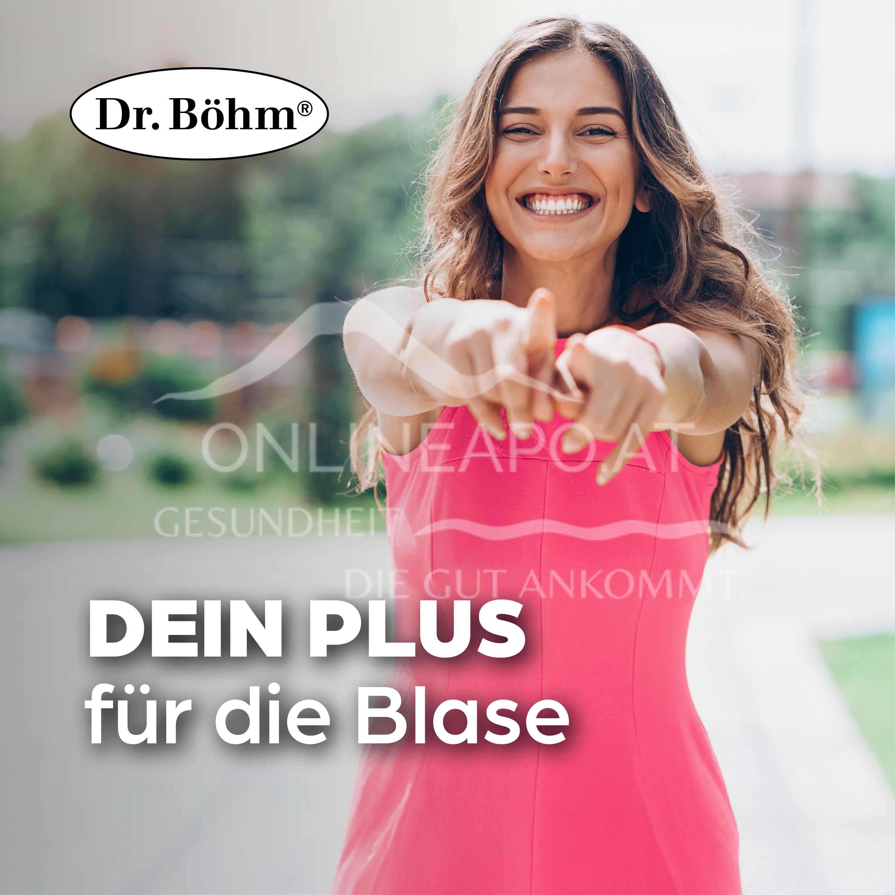 Dr Böhm® Cranberry acute effervescent granules