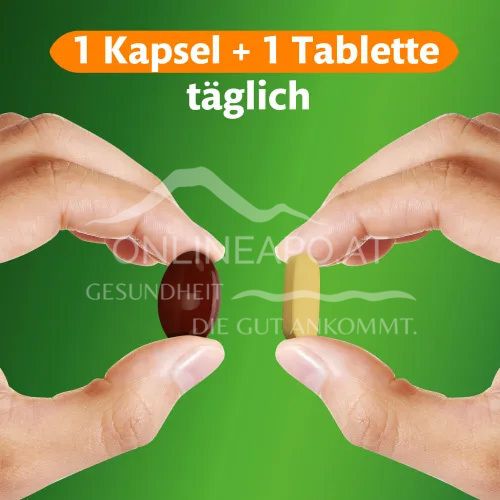 KyttaVit für Knorpel, Knochen und Muskeln - Extra Glucosamin - 30 Kapseln + 30 Tabletten