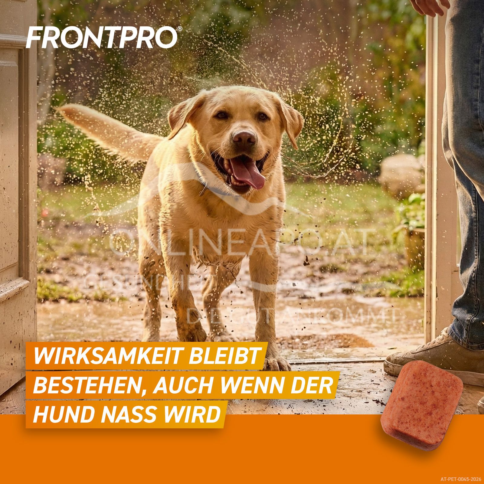 FRONTPRO® 136 mg chewable tablets for dogs > 25 - 50 kg