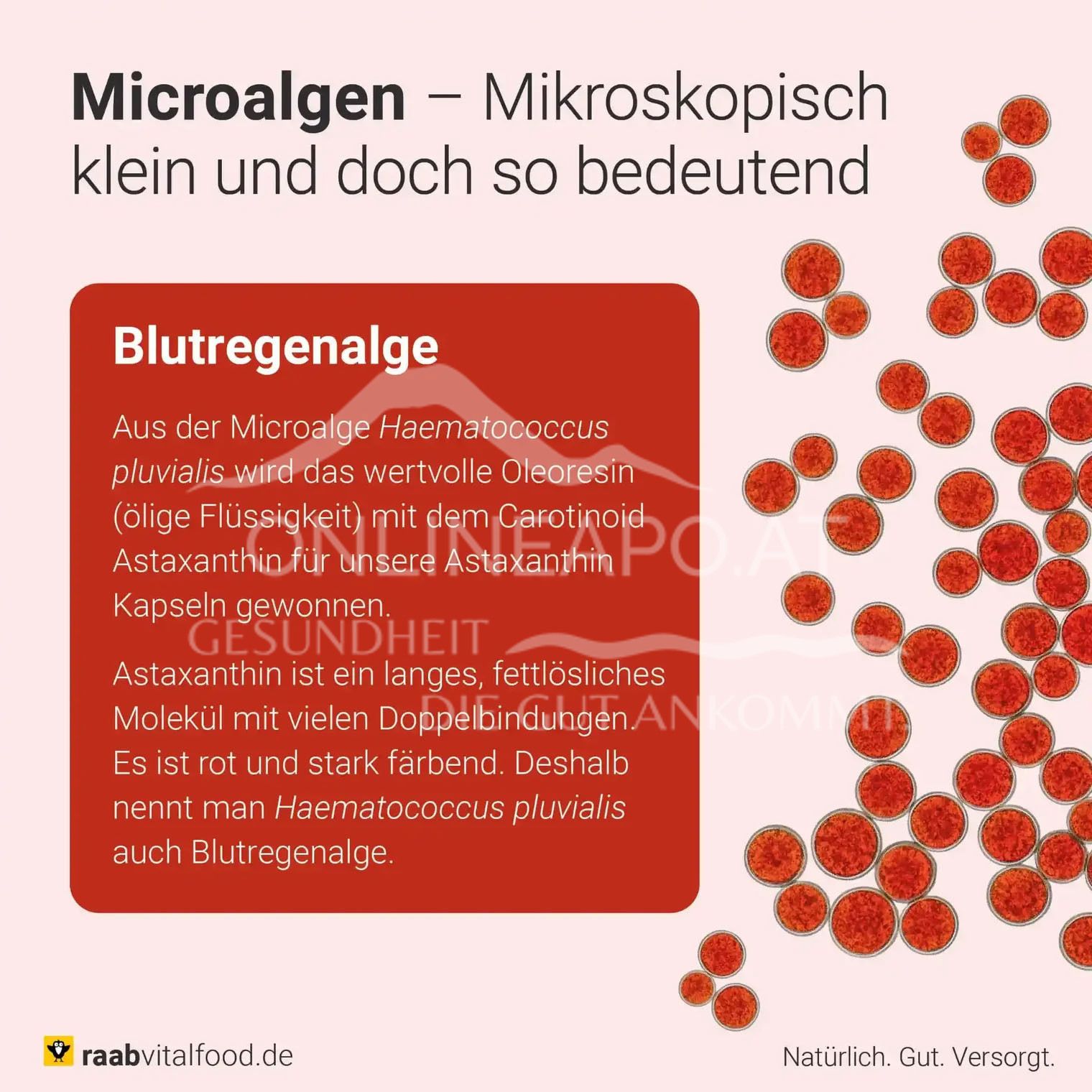 Raab® Vitalfood Astaxanthin Kapseln