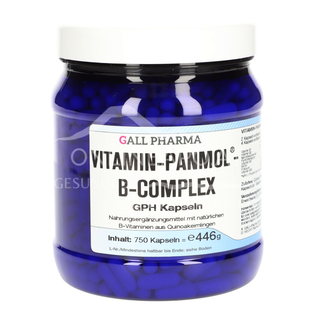 Gall Pharma Vitamin PanMol® B-Komplex Kapseln