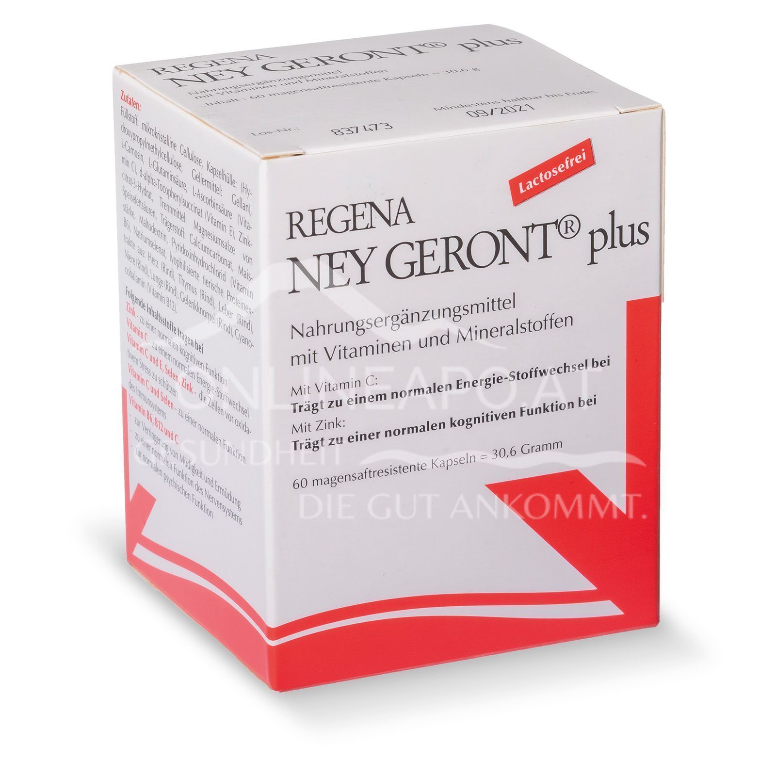 Regena NEY GERONT® plus Kapseln