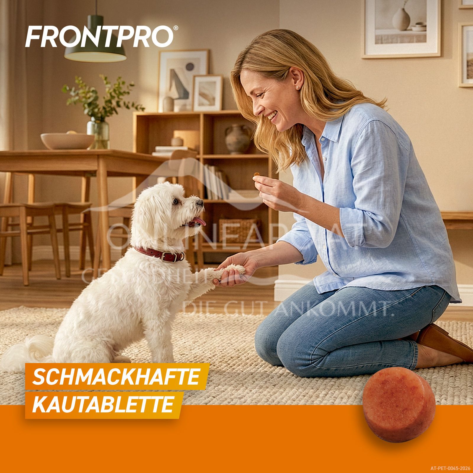 FRONTPRO® 11 mg chewable tablets for dogs 2 - 4 kg