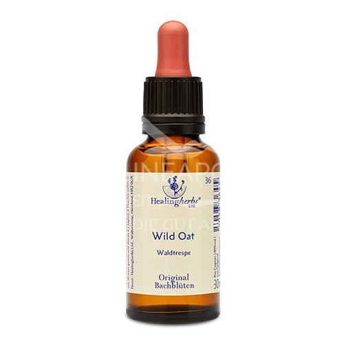 Healing Herbs Bach Flowers Wild Oat Drops