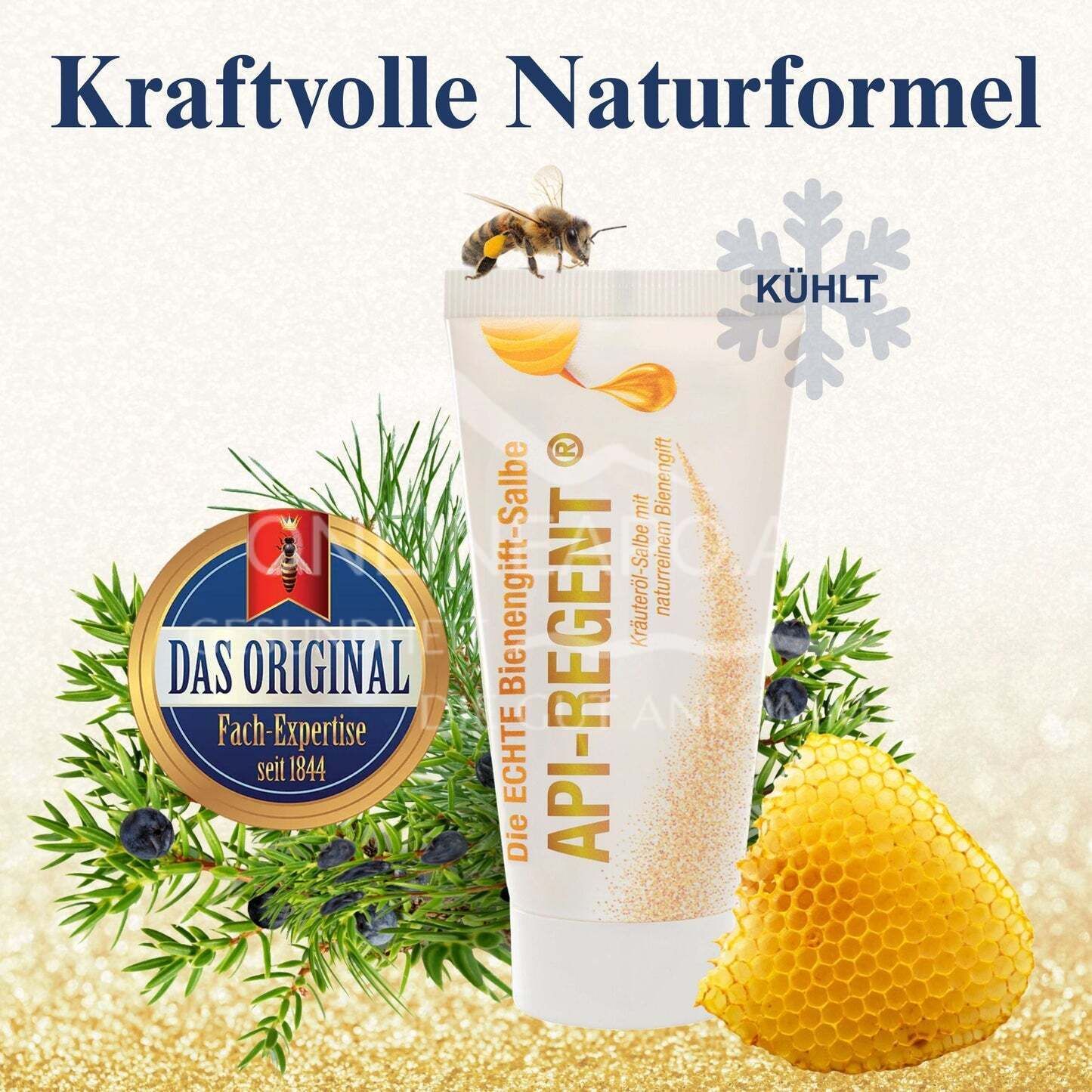 API-REGENT®  Bienengift-Salbe - kühlend